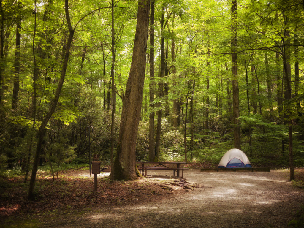 stock photo of camping tent in the woods